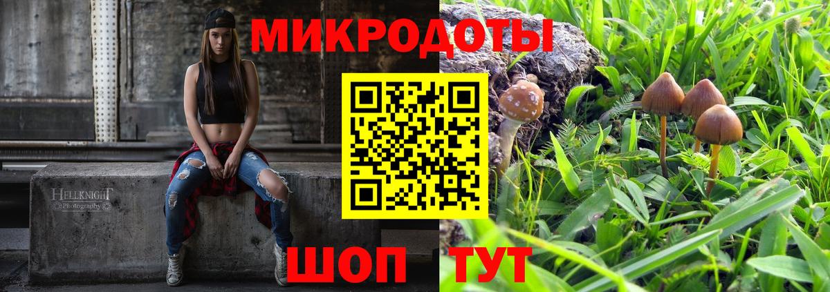 Галлюциногенные грибы Psilocybine cubensis Златоуст